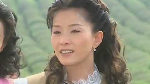 木棉花的春天 Youtube
