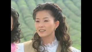 木棉花的春天 1