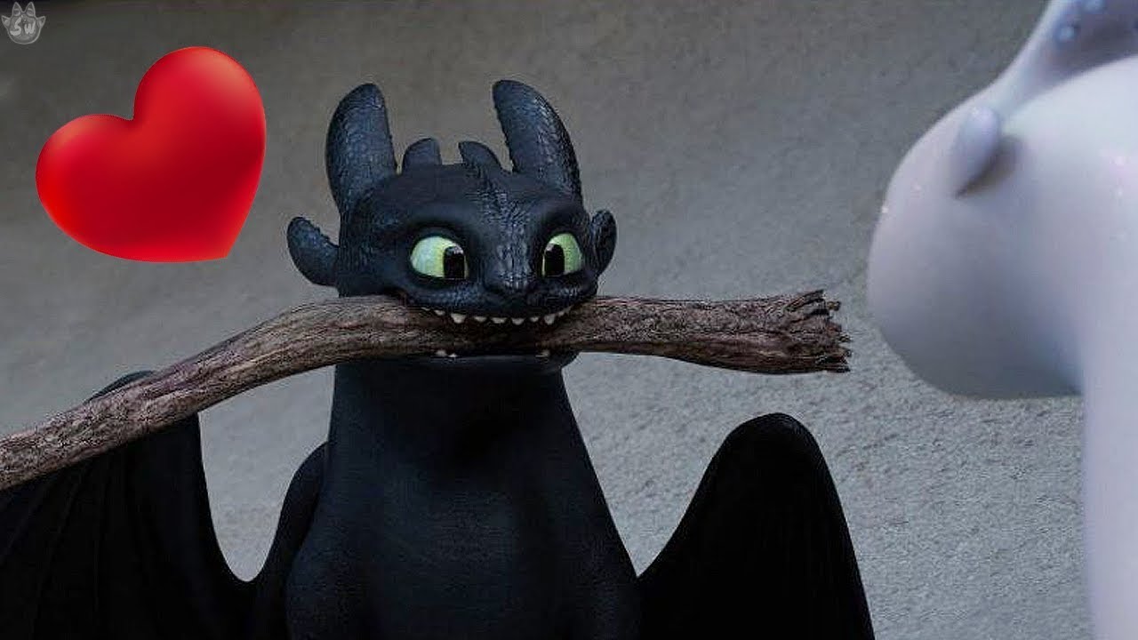 Toothless Draws the Light Fury! ️ How to train your Dragon: The Hidden