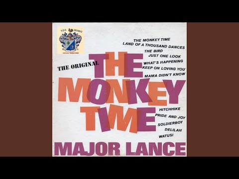 The Monkey Time