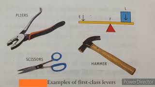 Class 5 Science Simple Machines Part 1