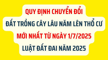 Quy Định Chuyển Đổi Đất Trồng Cây Lâu Năm Lên Thổ Cư Mới Nhất 2025 - Luật Đất Đai 2025
