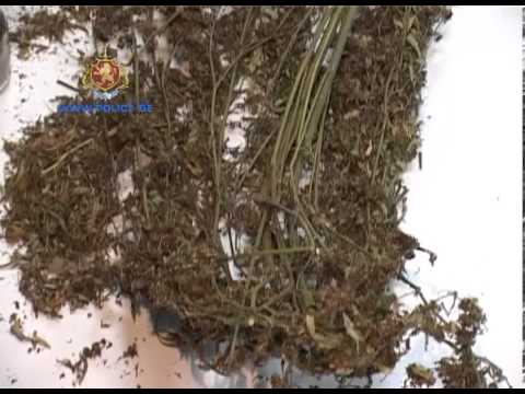 საქართველოს შინაგან საქმეთა სამინისტრო   შსს მ უკანონო ცეცხლსასროლი იარაღი და დიდი ოდენობით ნარკოტიკ