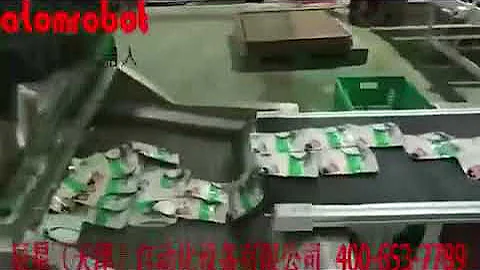 Case Packing Solution for Tetra Pak Pillow Bag by Delta Robot