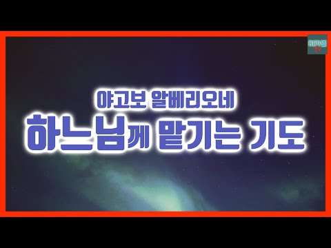 영상썸네일