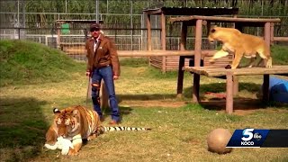 Employee testifies he spoke with ‘Joe Exotic’ after park owner allegedly shot 5 tigers