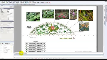 Part 5 of a series demonstrates how an experienced landscape designer might begin their CAD journey