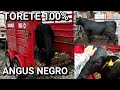 ¡¡LLEGÓ ESTE ANIMALAZO A LOS CORRALES DE ENGORDA!!