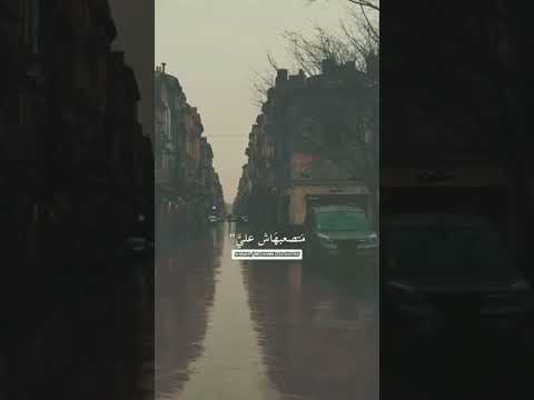 انا زعلتك في حاجه بهاء سلطان محمد الشريف