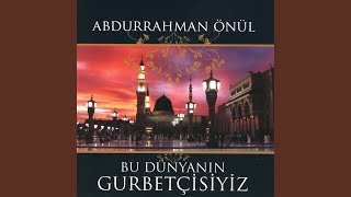 Gel Mevlana Gönül Ver — Abdurrahman Önül kapak görseli