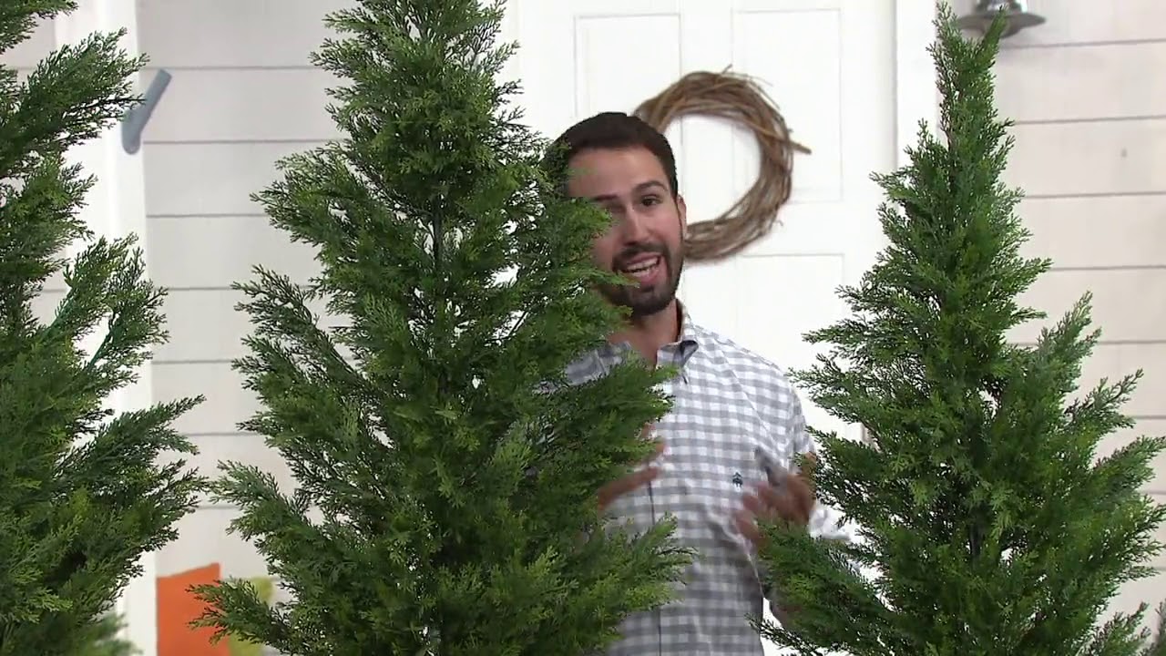 National Tree Faux Cedar Tree with Growers Pot on QVC YouTube
