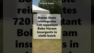 Borno State reintegrates 720 repentant Boko Haram insurgents in ninth batch