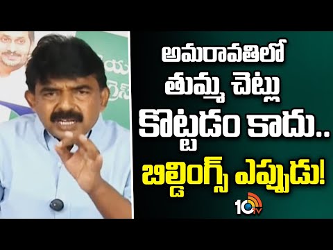 అమరావతిలో  తుమ్మ చెట్లు కొట్టడం కాదు.. బిల్డింగ్స్  ఎప్పుడు |Perni Nani About Capital City Amaravati - 10TVNEWSTELUGU