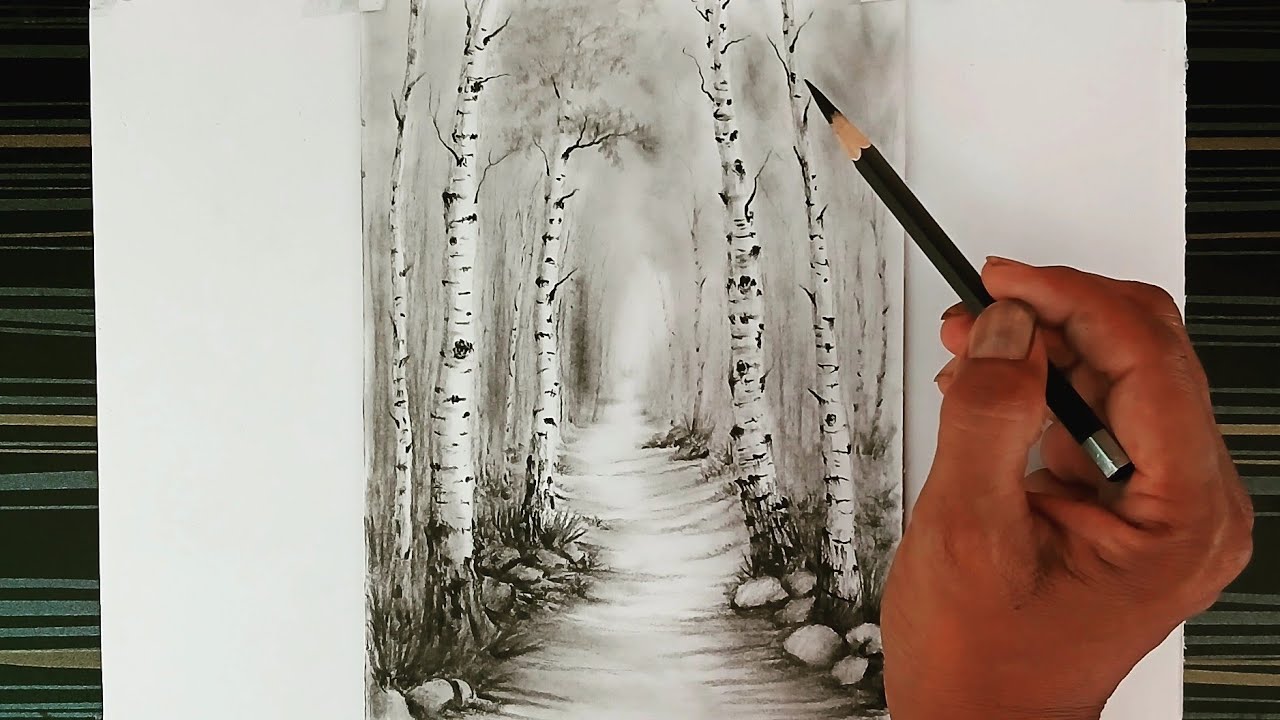 A birch trees landscape scenery drawing by pencil with easy ways. - YouTube