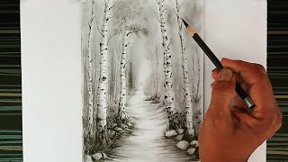 A birch trees landscape scenery drawing by pencil with easy ways.