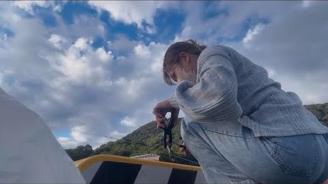 こんなに種類が釣れる日ある？五目釣りで“八目”行きました。【素人釣り女子】#36