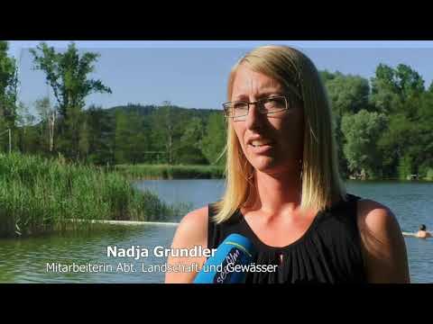 Video: Erlaubt Lake Elsinore Hunde?
