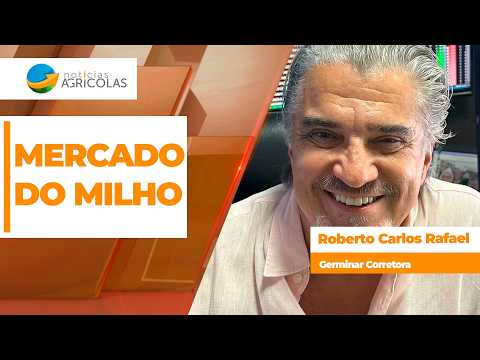 Soma de fatores positivos devem manter cotações do milho em alta em Chicago e no Brasil