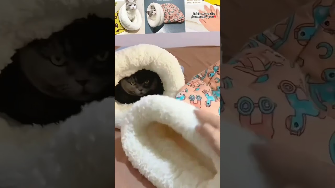 Keep your pets snug and warm this winter with the Tunnel Cat Bed! 🐾❄️ Don't miss out!