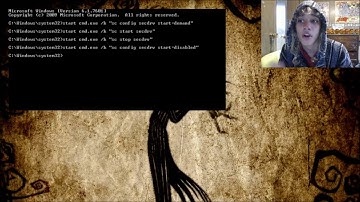 Getting The Sims 1 To Play On Your Computer