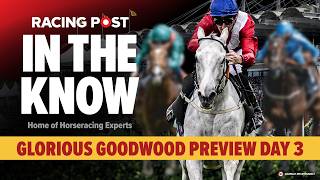 🔥 Can Tom Segal & Paul Kealy Do It Again? | In The Know | Glorious Goodwood Day 3 Preview