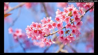 Alina Baraz - Take It Home