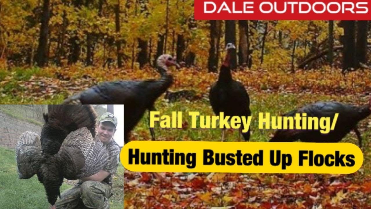 FALL TURKEY HUNTING / Turkey Hunting Busted up Flocks YouTube