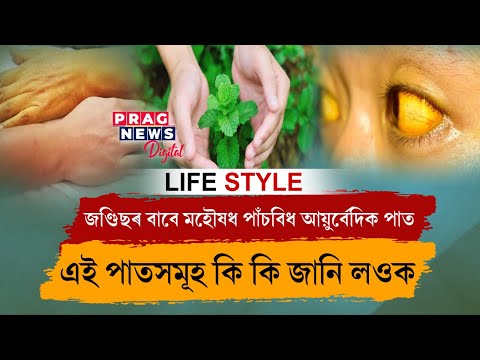 Jaundice - 5 Ayurvedic Herbs That Can Treat It