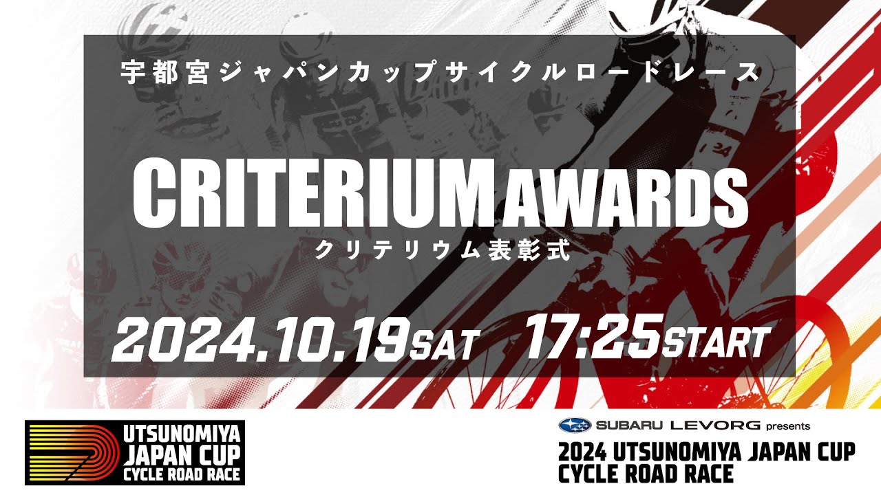 実物】2024 ジャパンカップクリテリウム スプリント賞ジャージ