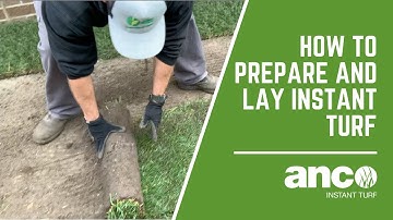 How to prepare and lay Instant Turf? Anco Turf