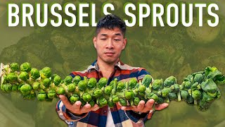 Holiday Sides & Meal Prep Primer: Brussels Sprouts