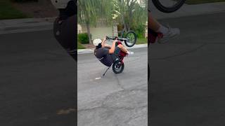 trained professionals on closed course 18  #bike #ebike #wheelie #modding #mods #shorts
