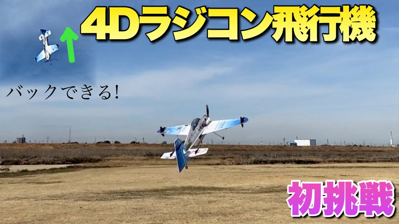 【値下げ】ラジコン 飛行機 ゼロRC飛行機-初心者のための曲技飛行の楽しみ