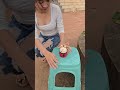 Press once and a toothpick pops out