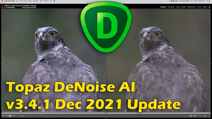 最新Topaz DeNoise AI 3.4.1：專業去噪