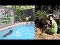 Fixing The Garden + Swimming With Kobe & Klay | Kianna Dy