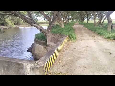Magandang tanawin sa probensya