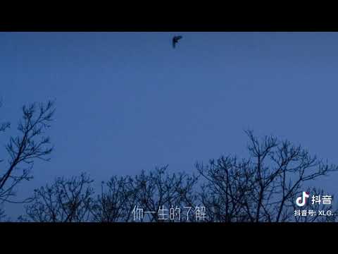 而我独缺你一生的了解 ~《兰亭序》