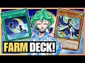 DECK F2P PARA FARMAR LULU E RIN NO PORTÃO  [Yu-Gi-Oh duel links]