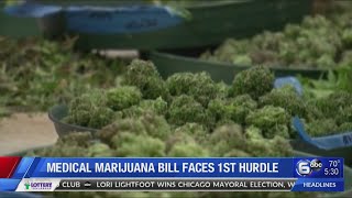 Medical marijuana bill faces 1st hurdle
