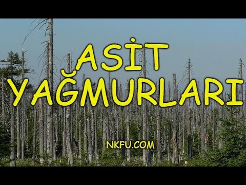 Video: Asit yağışı: oluşum nedenleri