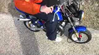 ヤマハ　ポッケ　旧車　コール