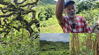 MORRERAM 2 IRMÃOS UMA SERRA ASSOMBRADA, E MUITOS RELATOAS DE APARIÇÕES SERRA, DO CANTO ITAPIPOCA CE,