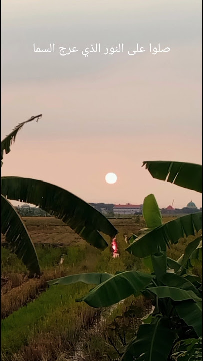 Shollu Alannurilladzi - Nurin Nabila #shorts #fyp #abiyyuproject #sholawat #shollualanurilladzi