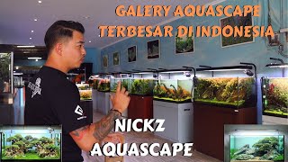 NICKZ AQUASCAPE - GALERY AQUASCAPE TERBESAR DI INDONESIA, PUNYA FARM TANAMAN SENDIRI BRO !!!!