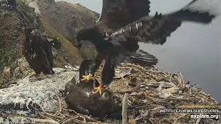 Oops Sorry, Bro Explore 052522