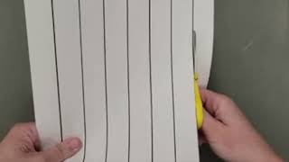 Scissors 101