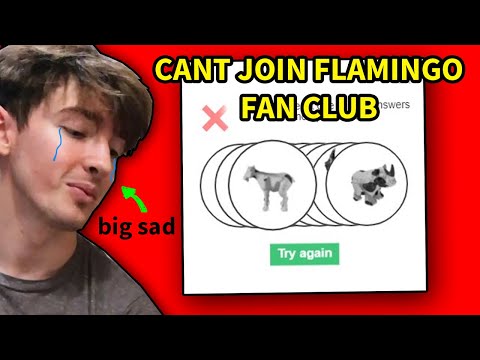 Roblox Verification 2020 Is Not Working Broken Flamingo Roblox Fan Club Youtube - club flux beta v01 roblox