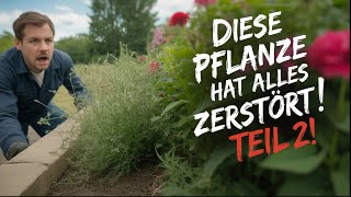 Braß & schmidt e. K. 29 Diese 10 pflanzen pflanze ich nie wieder! 😱 teil 2