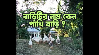 হাকালুকি হাওড়ে পাখি বাড়ি | Birds Village | Pakhi bari | Hakaluki